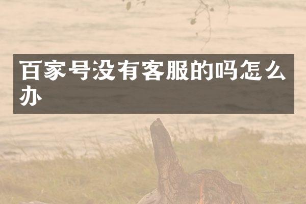 百家号没有客服的吗怎么办