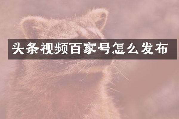 头条视频百家号怎么发布