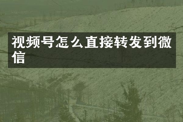 视频号怎么直接转发到微信