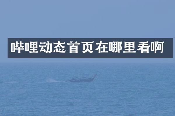 哔哩动态首页在哪里看啊
