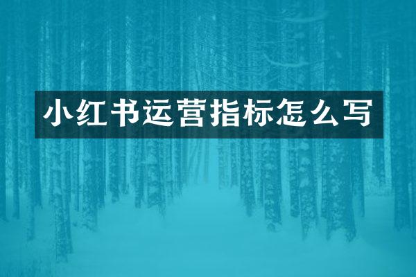 小红书运营指标怎么写