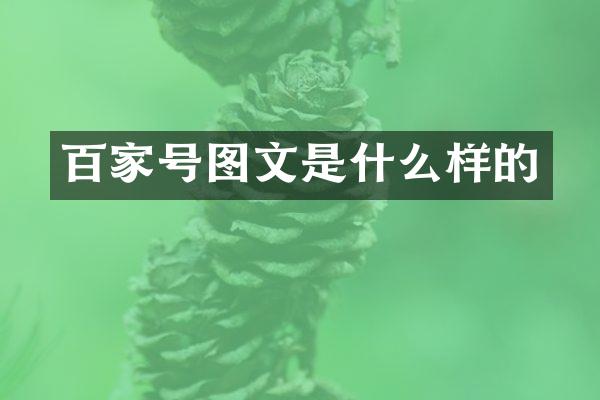 百家号图文是什么样的