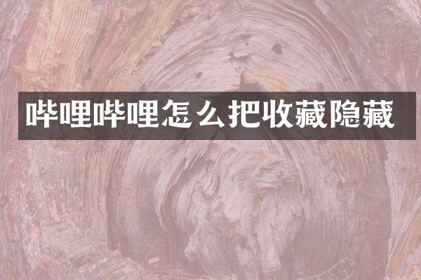 哔哩哔哩怎么把收藏隐藏