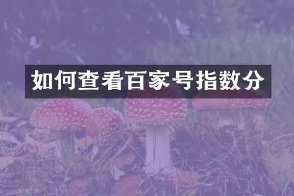 如何查看百家号指数分