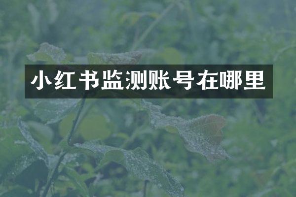 小红书监测账号在哪里