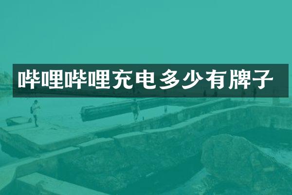 哔哩哔哩充电多少有牌子