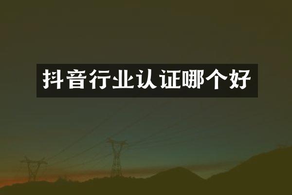 抖音行业认证哪个好