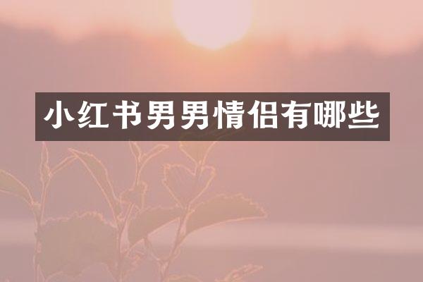 小红书男男情侣有哪些