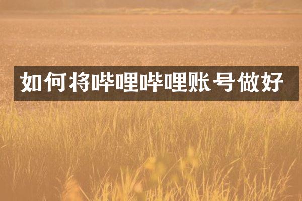 如何将哔哩哔哩账号做好