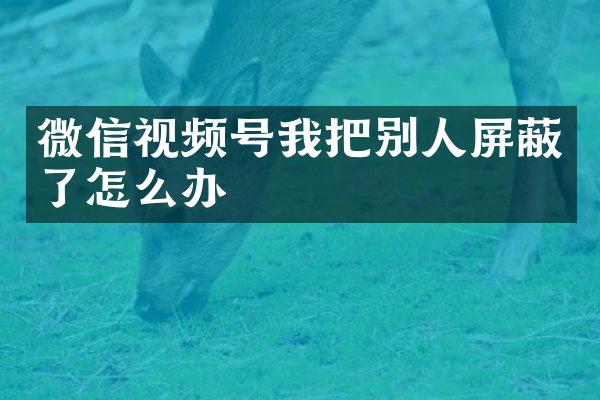 微信视频号我把别人屏蔽了怎么办