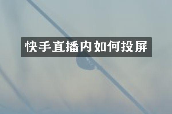 快手直播内如何投屏