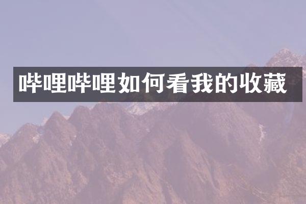 哔哩哔哩如何看我的收藏