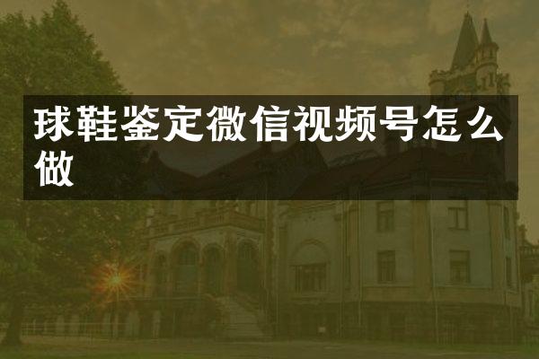 球鞋鉴定微信视频号怎么做