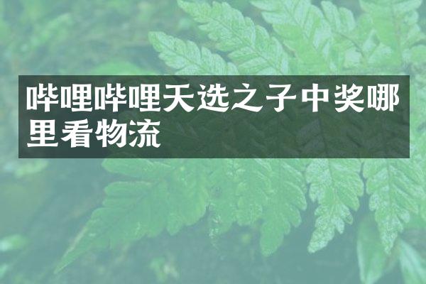 哔哩哔哩天选之子中奖哪里看物流