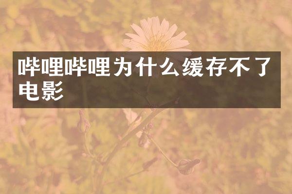 哔哩哔哩为什么缓存不了电影