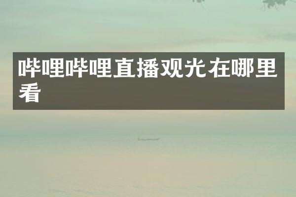 哔哩哔哩直播观光在哪里看
