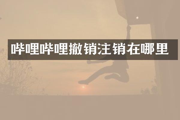哔哩哔哩撤销注销在哪里
