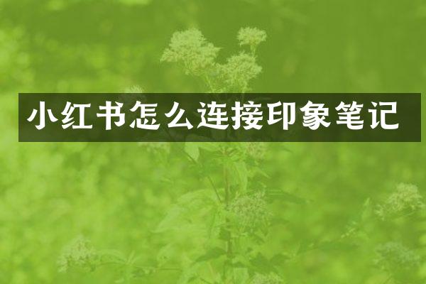 小红书怎么连接印象笔记
