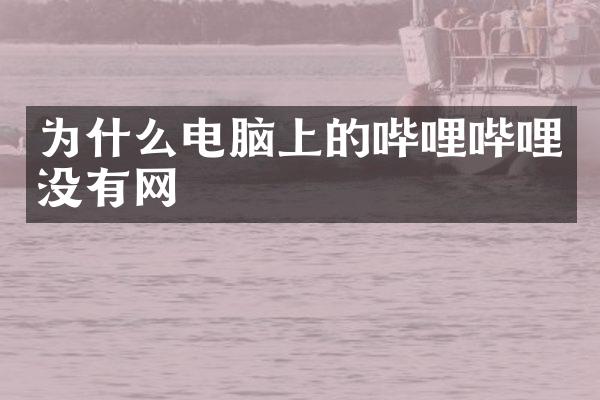 为什么电脑上的哔哩哔哩没有网