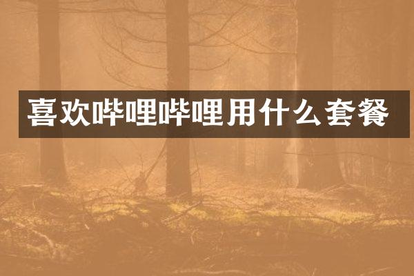 喜欢哔哩哔哩用什么套餐
