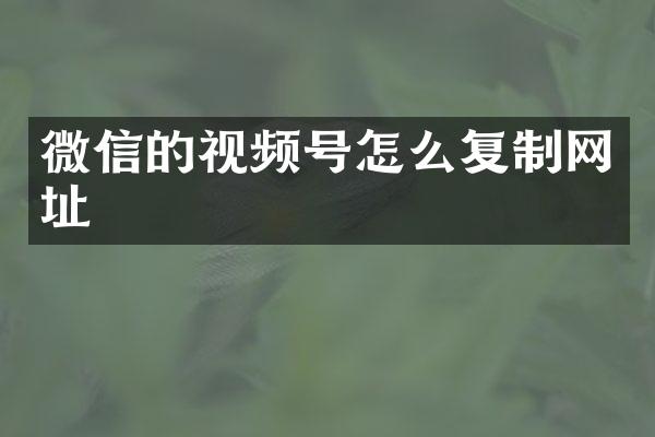 微信的视频号怎么复制网址