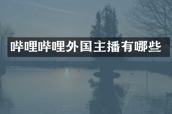 哔哩哔哩外国主播有哪些