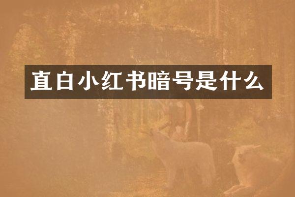 直白小红书暗号是什么