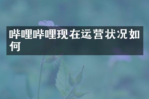 哔哩哔哩现在运营状况如何