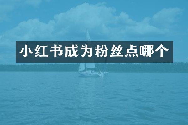 小红书成为粉丝点哪个