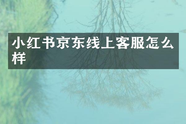 小红书京东线上客服怎么样