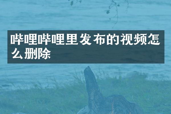 哔哩哔哩里发布的视频怎么删除