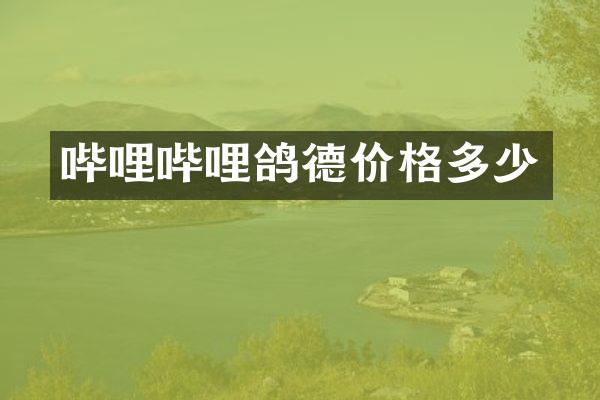 哔哩哔哩鸽德价格多少