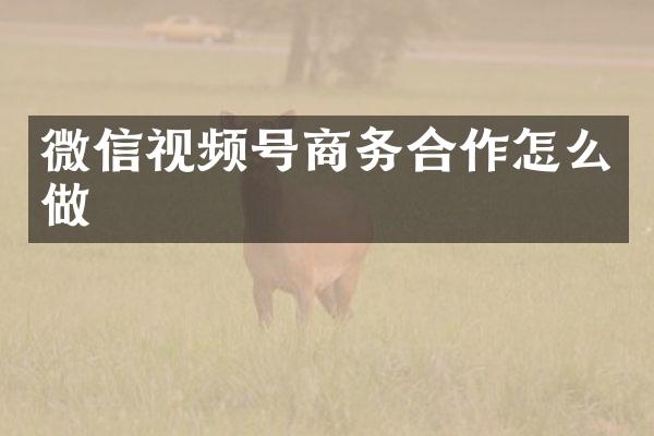 微信视频号商务合作怎么做