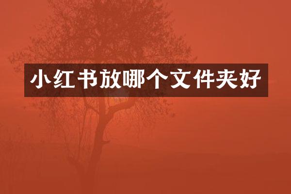 小红书放哪个文件夹好