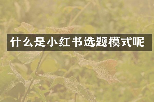 什么是小红书选题模式呢