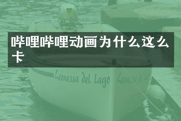 哔哩哔哩动画为什么这么卡