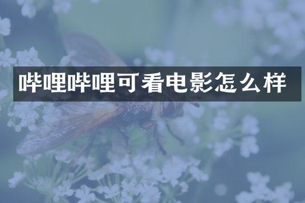 哔哩哔哩可看电影怎么样