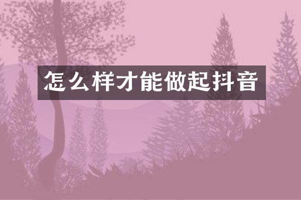 怎么样才能做起抖音