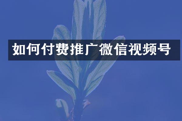 如何付费推广微信视频号
