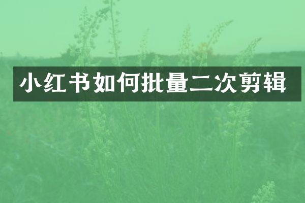 小红书如何批量二次剪辑