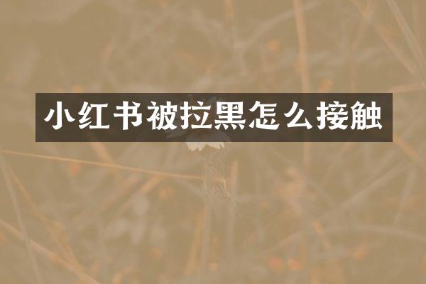 小红书被拉黑怎么接触