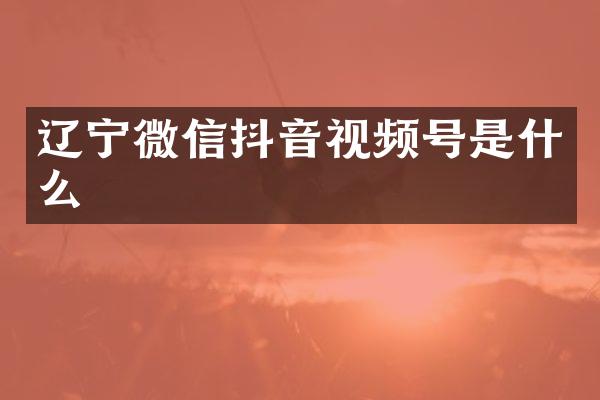 辽宁微信抖音视频号是什么