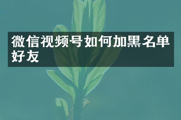 微信视频号如何加黑名单好友