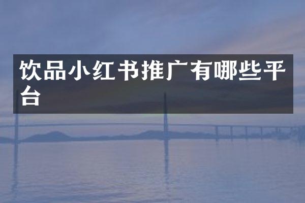 饮品小红书推广有哪些平台