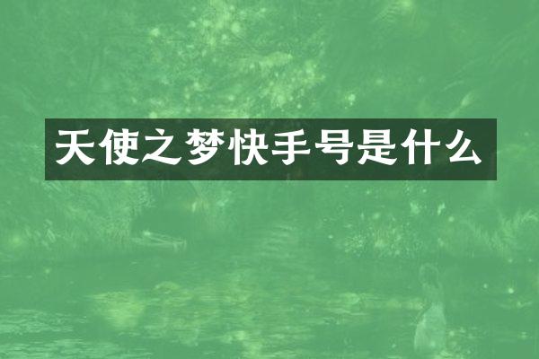 天使之梦快手号是什么