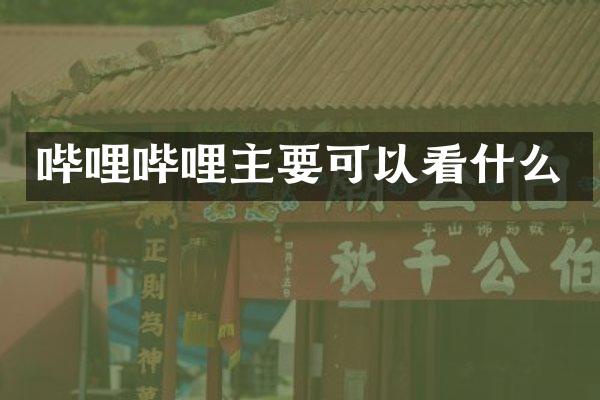 哔哩哔哩主要可以看什么