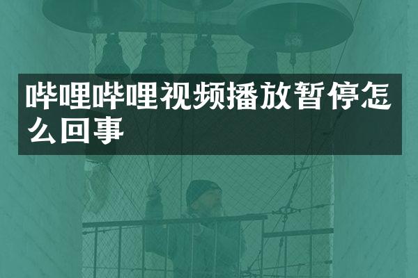 哔哩哔哩视频播放暂停怎么回事