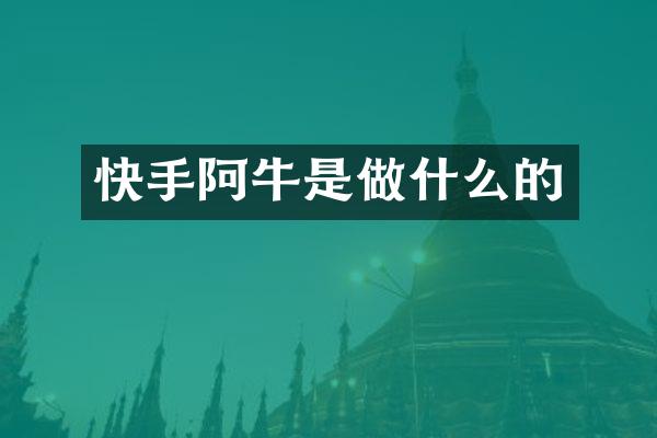 快手阿牛是做什么的