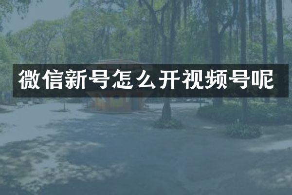 微信新号怎么开视频号呢