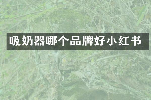 吸奶器哪个品牌好小红书